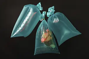Drucke von Drei Plastiktüten gefüllt mit Wasser und Blumen. Isoliert auf schwarzem Hintergrund Minimalistische Kunstwerke Drucke: Drei Plastiktüten mit Wasser und Blumen.
