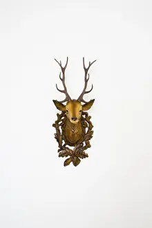 Plastic Deer Head Drucke: Plastic deer head, frontal view