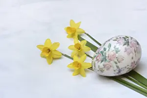 Colorful Decoration Drucke: Plastic easter egg and daffodil, Easter