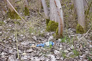 Deserted Forest Scenery Germany Drucke: Plastic waste in the forest, Germany