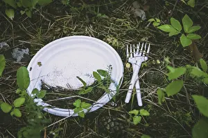 Wooded Landscape Photography Drucke: Plastic waste on the ground in forest