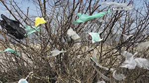 Plastic Waste Pollution Drucke: Plastic waste hanging in the branches