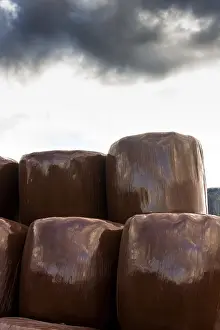 Straw Bales France Drucke: Plastic wrapped bales of straw