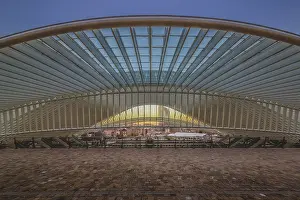 Drucke von Plattformen mit Kuppel und Skyline, Lüttich-Guillemins Bahnhof, Lüttich, Belgien Plattformen mit Kuppel und Skyline, Lüttich-Guillemins Bahnhof, Lüttich, Belgien Lüttich Drucke: Plattformen mit Kuppel und Skyline.