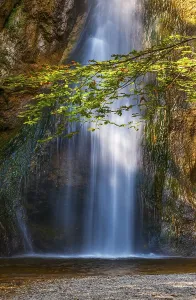Rocky Waterfalls Europe Drucke: Plotz waterfall, natural monument
