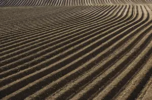 Upper Austria Farmland Drucke: Ploughed furrows, structure, Upper Austria