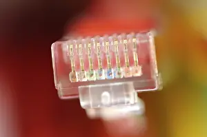 Coloured Network Cables Drucke: Plug of a coloured network cables for computer
