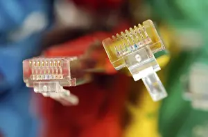 Computer Hardware Details Drucke: Two plugs of a coloured network cables for computer