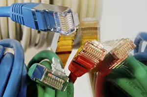 Coloured Network Cables Drucke: Plugs of a coloured network cables for computer