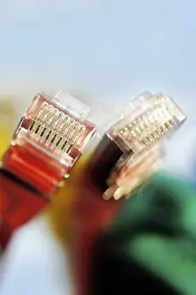 Computer Hardware Equipment Drucke: Two plugs of a coloured network cables for computer