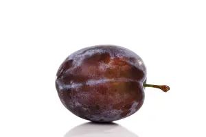 Vitamin Rich Plums Drucke: Plum