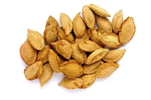 Bright White Background Images Drucke: Plum kernels isolated on a white background