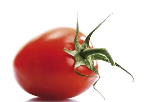 Red Tomato Drucke: Plum tomato