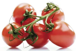 Plum Tomatoes Drucke: Plum tomatoes
