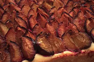 Tray Baked Cakes Drucke: Plums on a plum cake