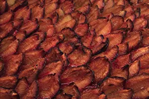 Tray Baked Cakes Drucke: Plums on a plum cake