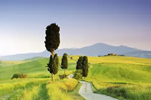 Central Italy Tourist Attraction Drucke: Podere Terrapille 17