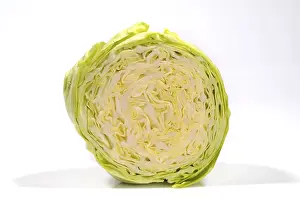 Close Up Vegetable Photography Drucke: Pointed cabbage, cut open