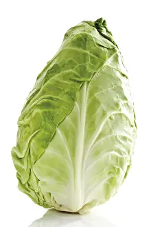 Vegetable Nutrition Drucke: Pointed cabbage, whole head