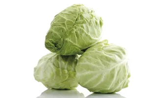 Studio Shot Of Cabbage Drucke: Pointed cabbage, three heads
