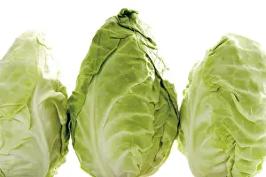 Vegetarian Dish Ideas Drucke: Pointed cabbage, three heads