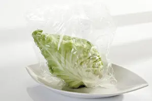 Vegetable Photography Still Life Drucke: Pointed cabbage packaged for the microwave