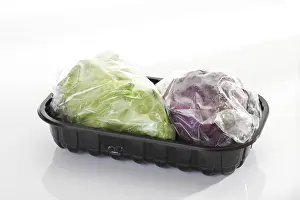 Green Leafy Vegetables Drucke: Pointed cabbage packaged for the microwave