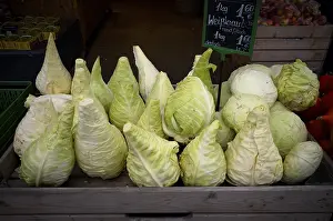 Pointed Cabbage Drucke: Pointed cabbage, pointed cabbage