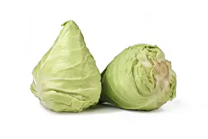 White Cabbage Drucke: Two pointed cabbages on white background