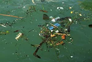 Waste Management Issues Drucke: Polluted sea