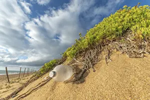 Environmental Damage In Europe Drucke: Pollution on a beach by the sea