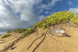 European Environmental Issue Drucke: Pollution on a beach by the sea