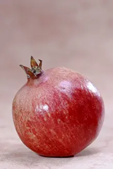 Open Air Photography Drucke: Pomegranate