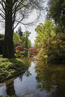 Lake Como Landscape Drucke: Pond with bridge in the park, spring