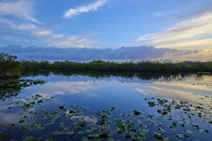 Darter Drucke: Ein ruhiger Teich mit Wolkenreflexen im Abendlicht.