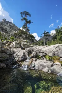 Mountain Creek Waterfall Drucke: Pool and small waterfall in the mountains