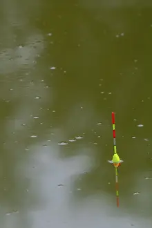 Recreational Activities Germany Drucke: Pose or float drifts in the water