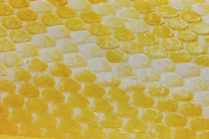Gerahmter Druck : Detail, Details, Abschnitt, Abschnitte, detaillierter Bildausschnitt, Nahansicht, Close-up, Close-ups, Closeups ,Close-up-Schuss ,Nahansicht ,Schlussfolgerung ,verlassene Ort keine Menschen Niemand unbewohnt leere Albino Albinos Maßstab Scales Gerahmter Druck : Detail, Details, Abschnitt, Abschnitte, detaillierter Bildausschnitt, Nahansicht, Close-up, Close-ups, Closeups ,Close-up-Schuss ,Nahansicht ,Schlussfolgerung ,verlassene Ort keine Menschen Niemand unbewohnt leere Albino Albinos Maßstab Scales