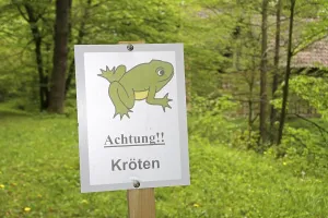 Amphibian Conservation Drucke: Attention toads