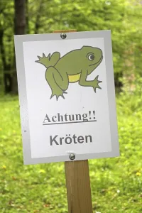 Amphibian Conservation Drucke: Attention toads