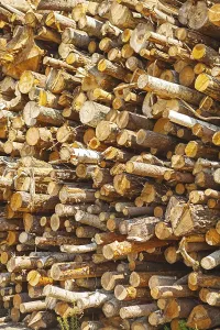 Deserted Woodpile Drucke: Background Stack of tree trunks