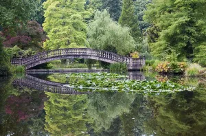 Deserted Stone Bridge Drucke: Bridge with reflection