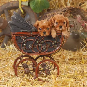 Cavalier King Charles Spaniel Photo Drucke: Cavalier King Charles Spaniel, ruby