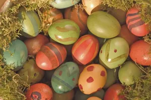 Close Up Of Easter Eggs Drucke: Coloured Easter eggs in the moss