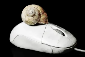 Black Background Studio Photo Drucke: Computer mouse with a snail shell
