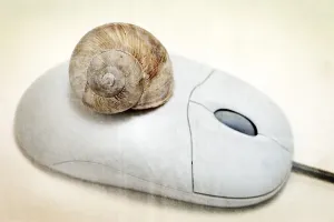 Studio Photography Backgrounds Drucke: Computer mouse with a snail shell