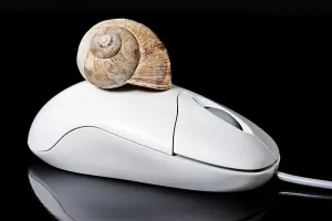 Empty Studio Environment Photo Drucke: Computer mouse with a snail shell