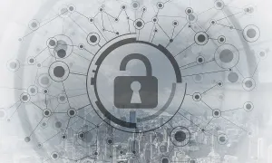 Business Risk Management Drucke: Cryptography and encryption algorithm concept