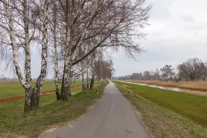 Deserted Bike Lane Drucke: Cycle path