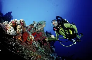 Red Sea Shipwreck Drucke: Diver on the Numibia shipwreck